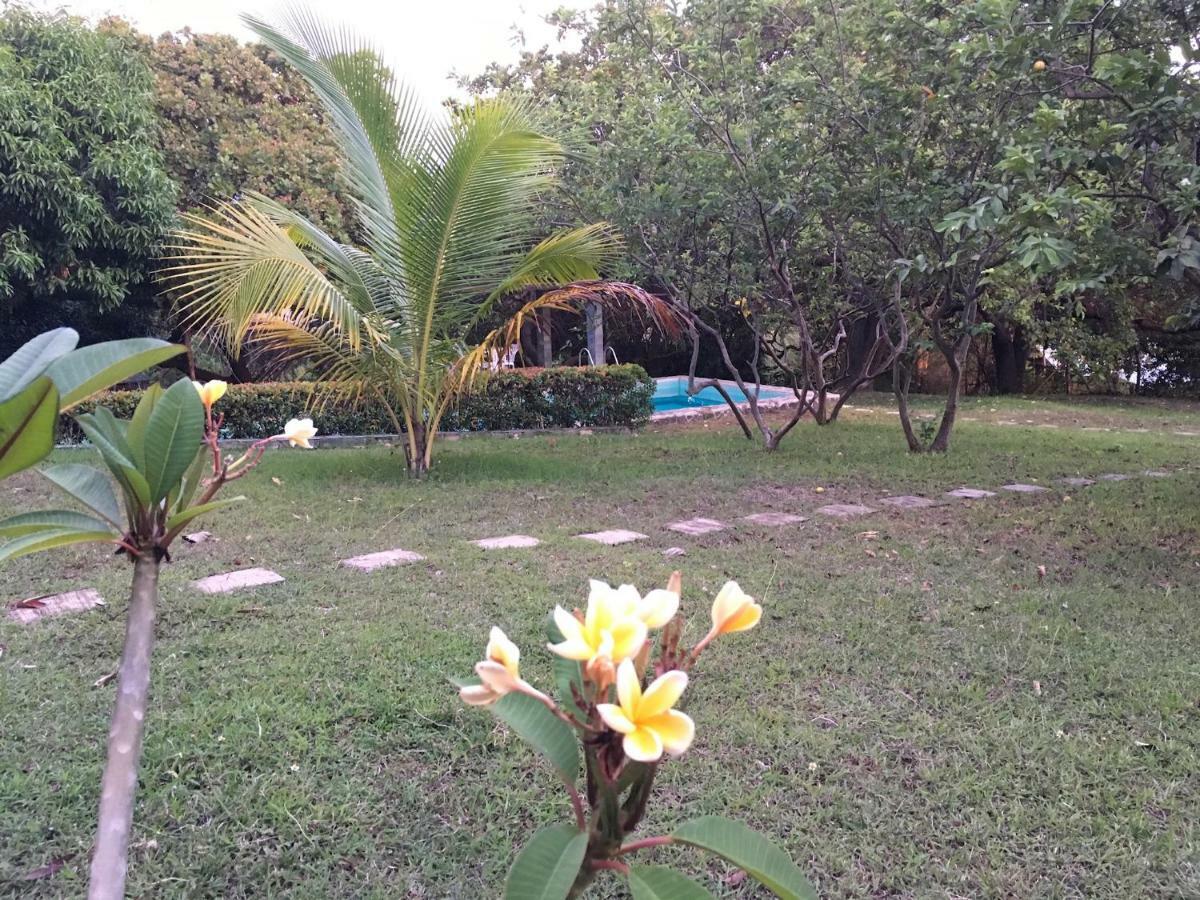Native House With Beautiful Pool Villa Bagac Dış mekan fotoğraf